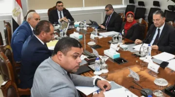 مبادرة سكن لكل المصريين توفر مليون وحدة سكنية بتكلفة 90 مليار جنيه لتعزيز توفر السكن بالموازنة الحكومية 1